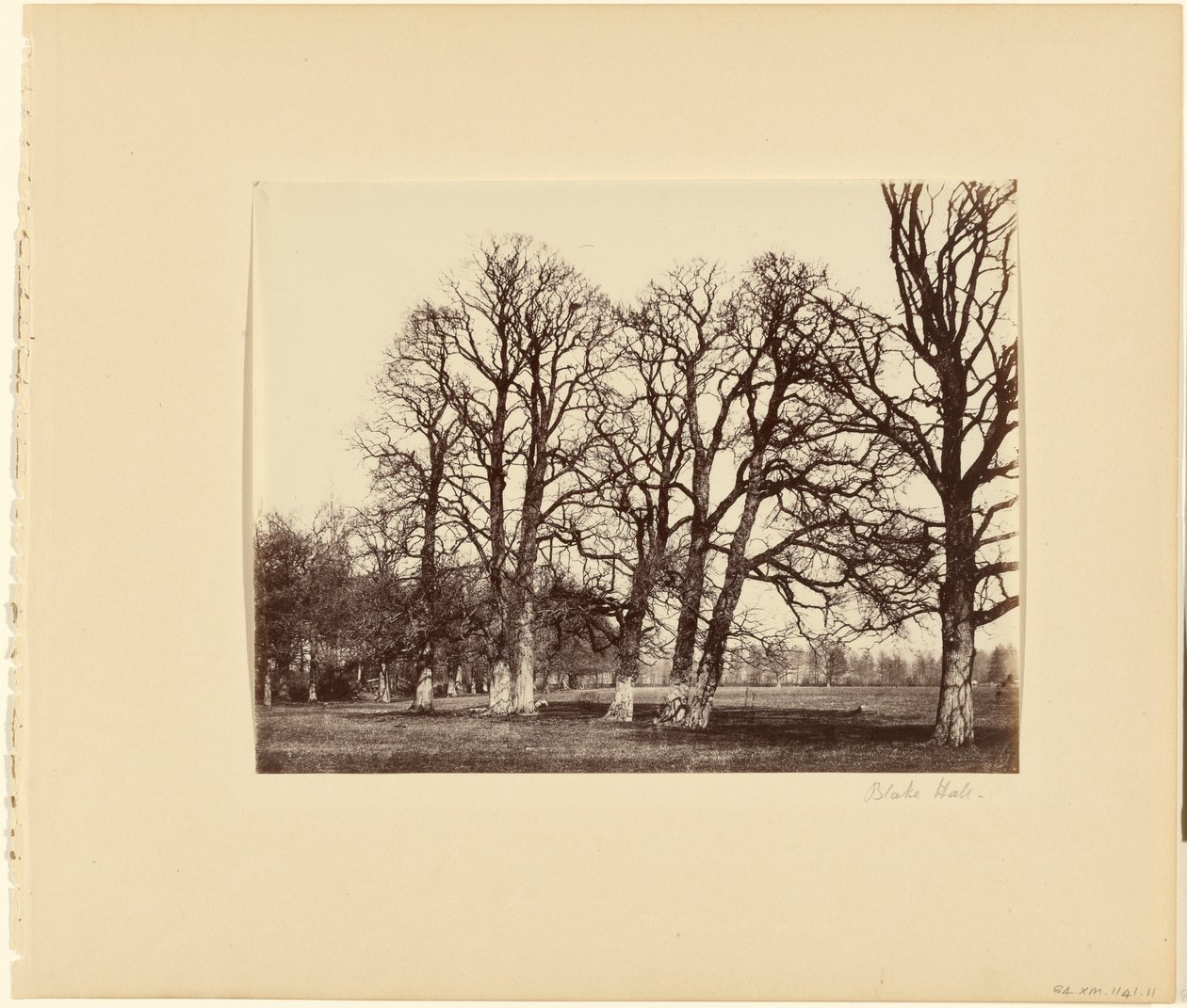 Blake Hall von Alfred Capel Cure