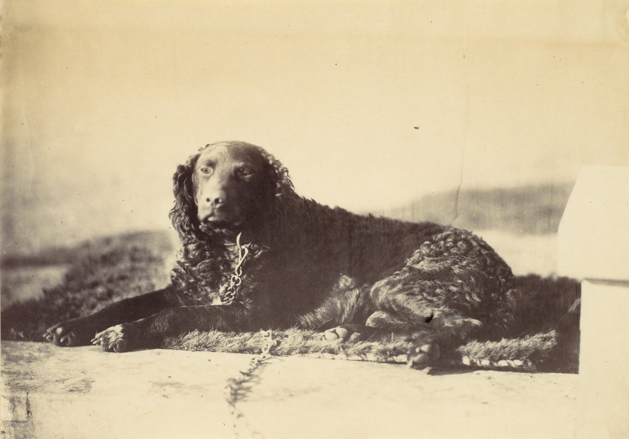Peter, 1860 von Alfred Capel Cure