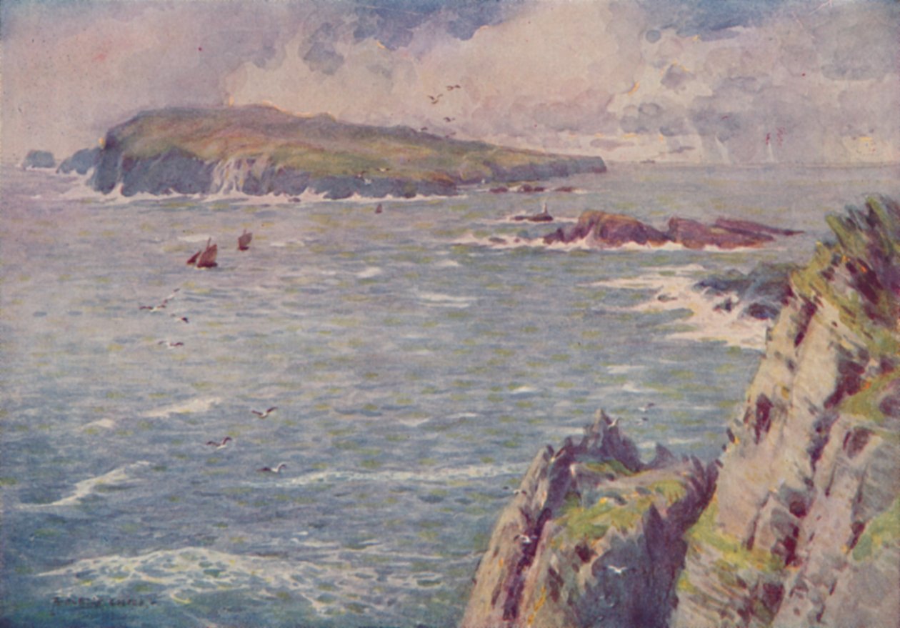 Das Kalb von Man, 1910 von Alfred Heaton Cooper