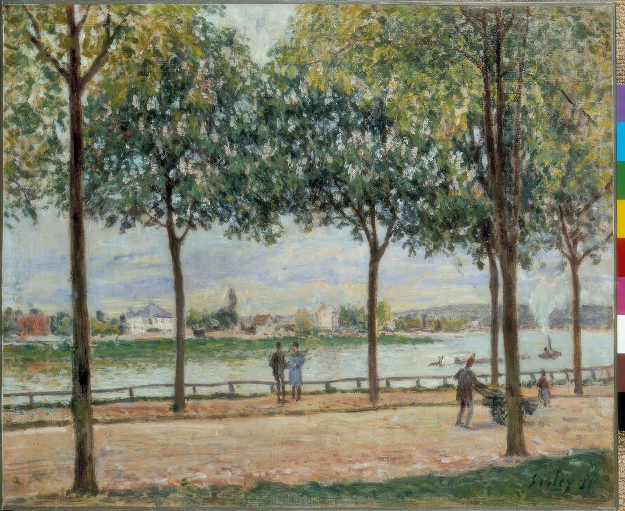 Kastanienpromenade von Alfred Sisley