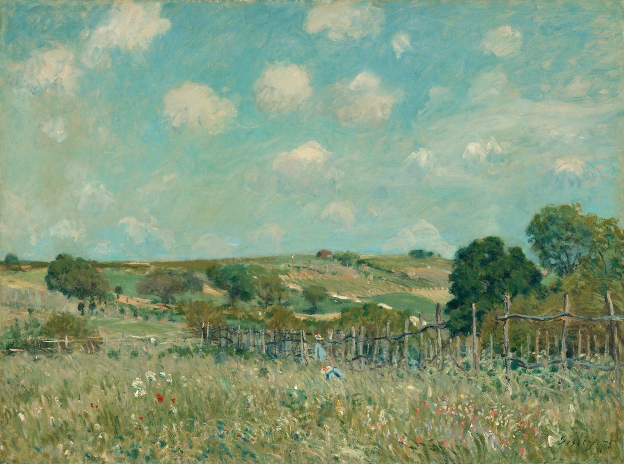 Wiese, 1875 von Alfred Sisley