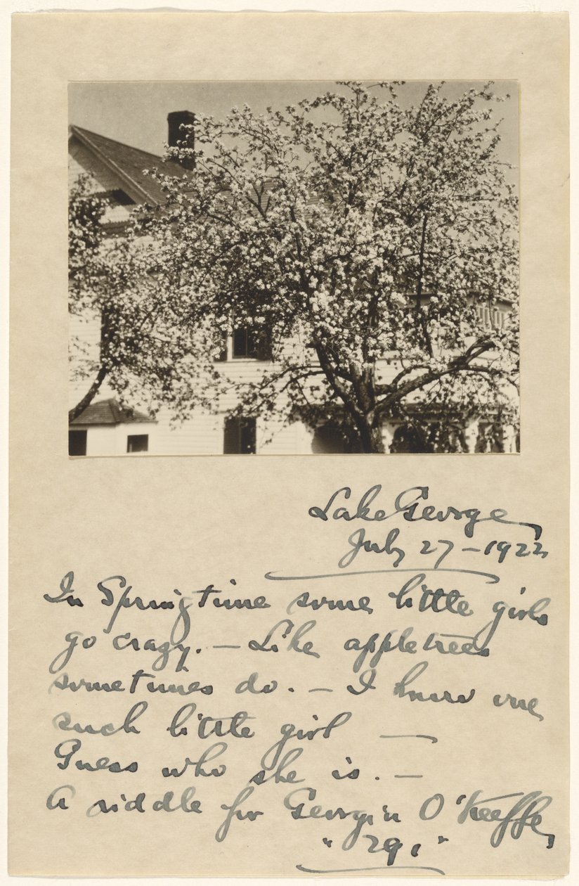 [Apfelblüten] von Alfred Stieglitz