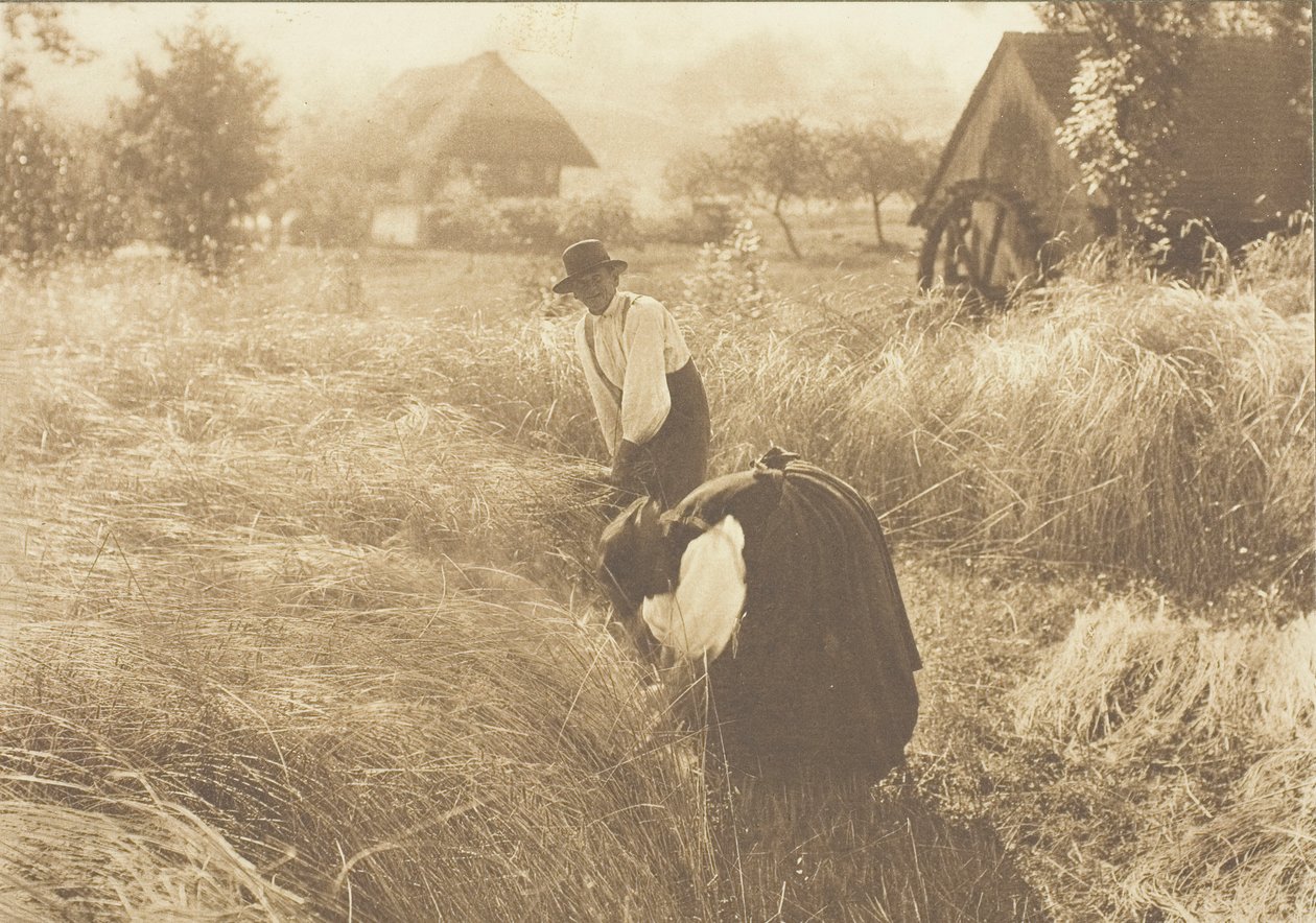 Früher Morgen von Alfred Stieglitz