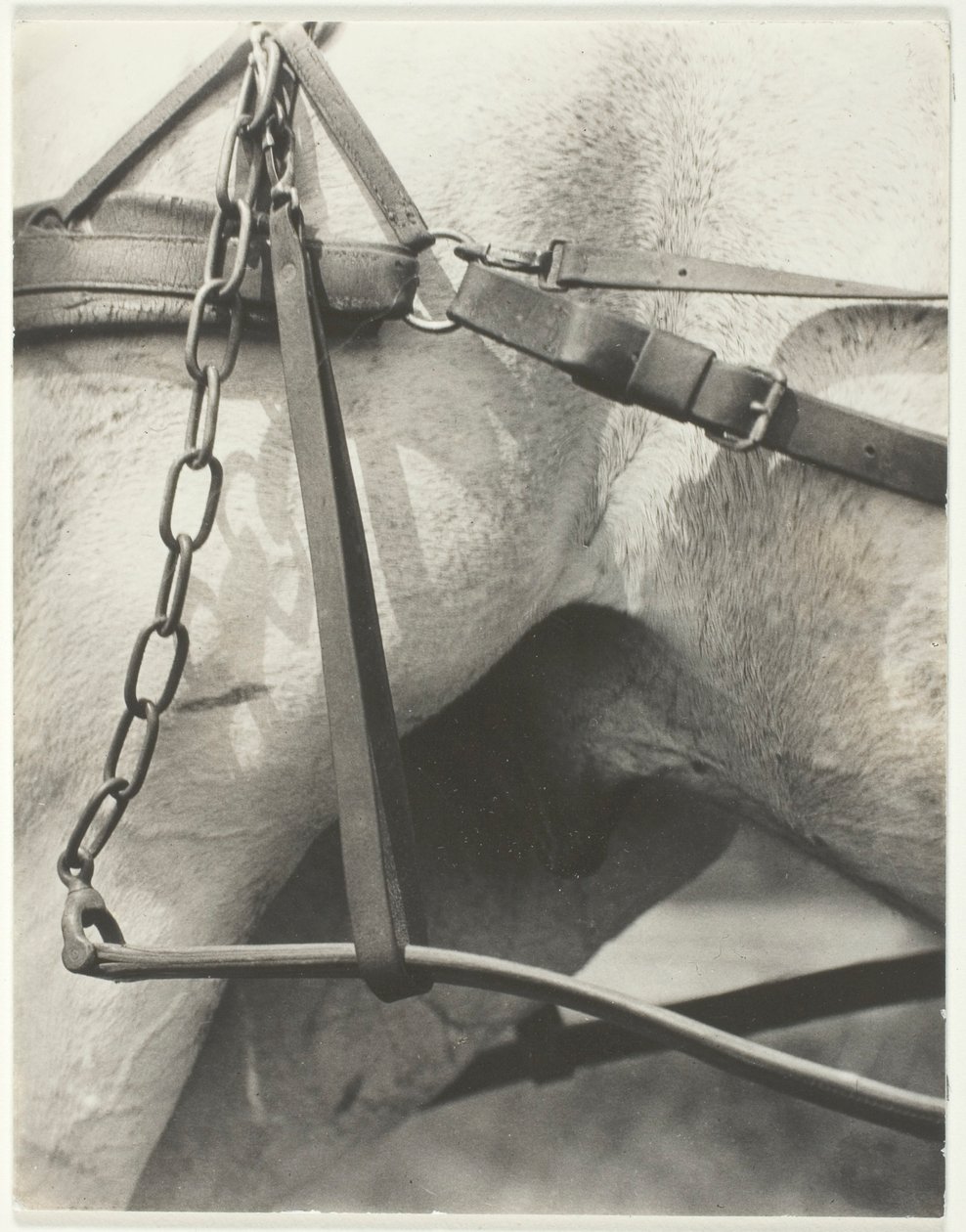 Equivalent, Spirituelles Amerika von Alfred Stieglitz