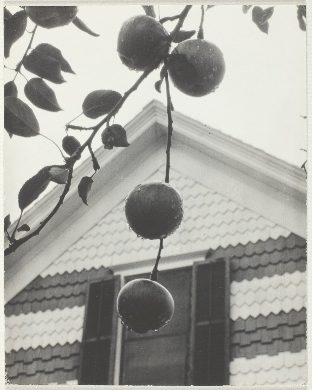 Giebel und Äpfel von Alfred Stieglitz
