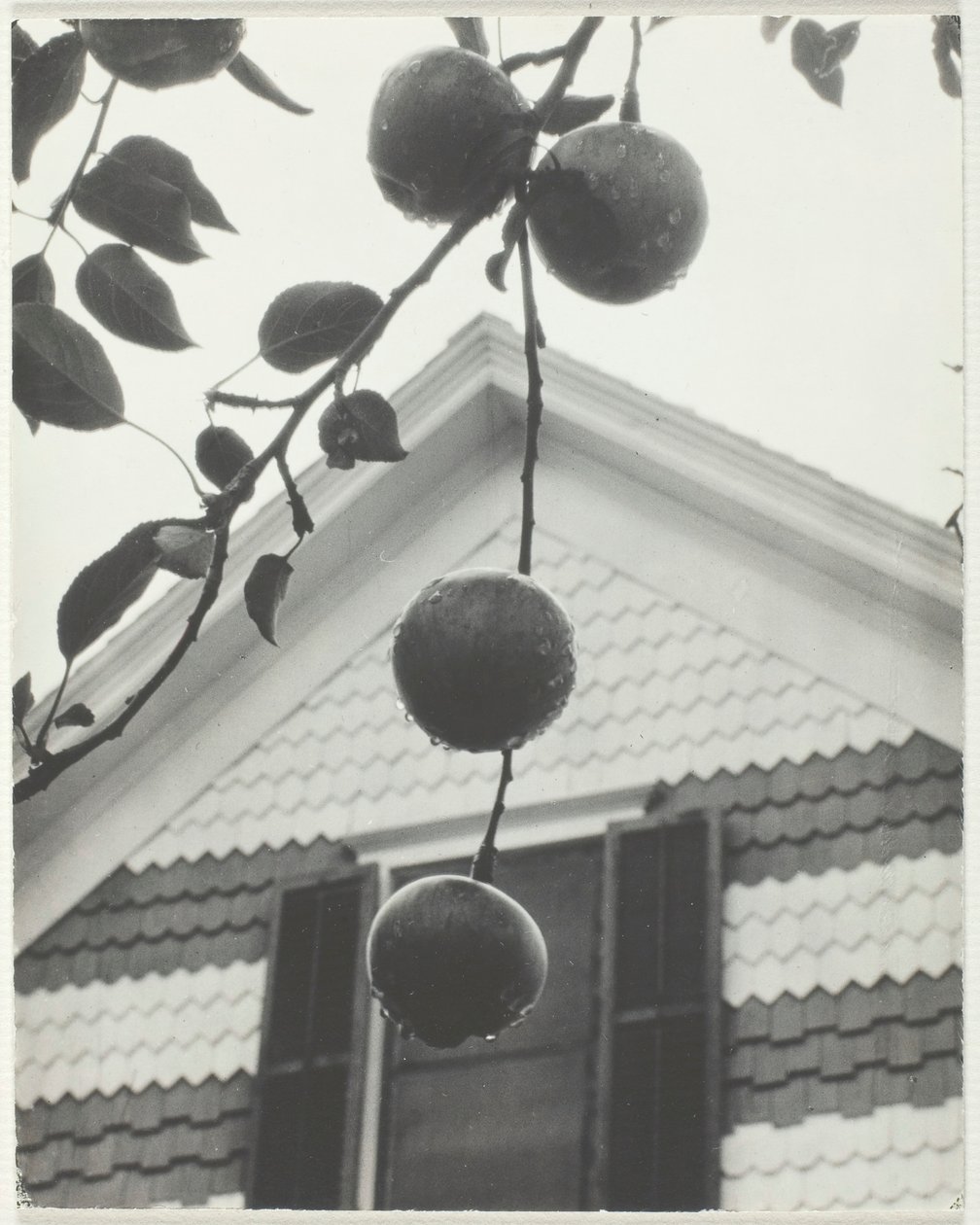 Giebel und Äpfel, 1922 von Alfred Stieglitz