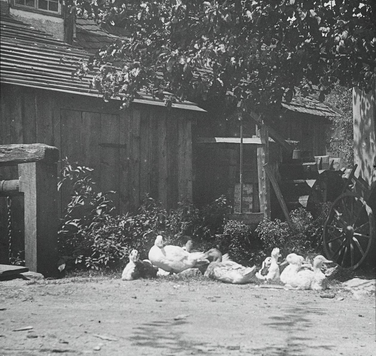 Gutach, 1894 von Alfred Stieglitz