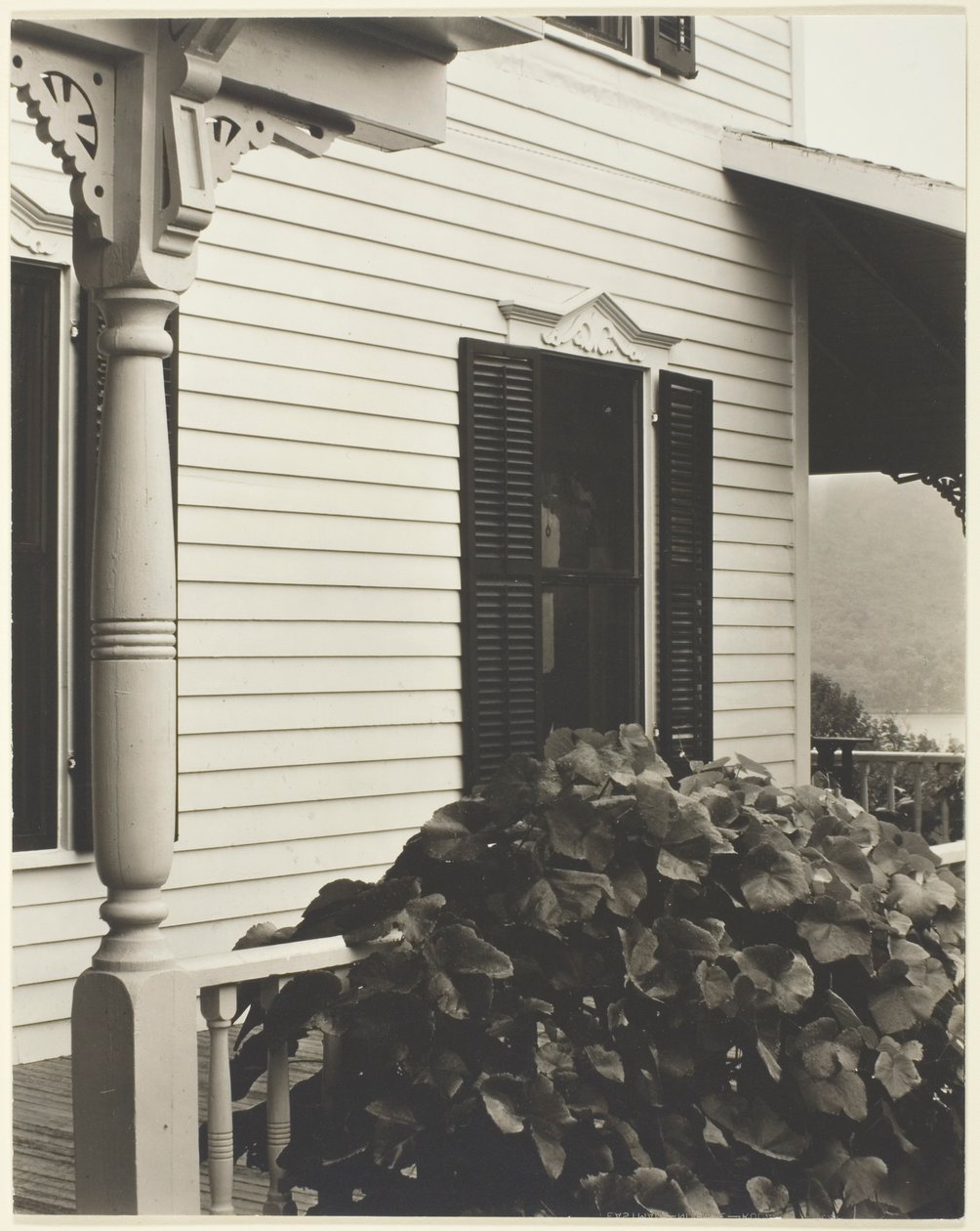 Haus und Weinblätter von Alfred Stieglitz