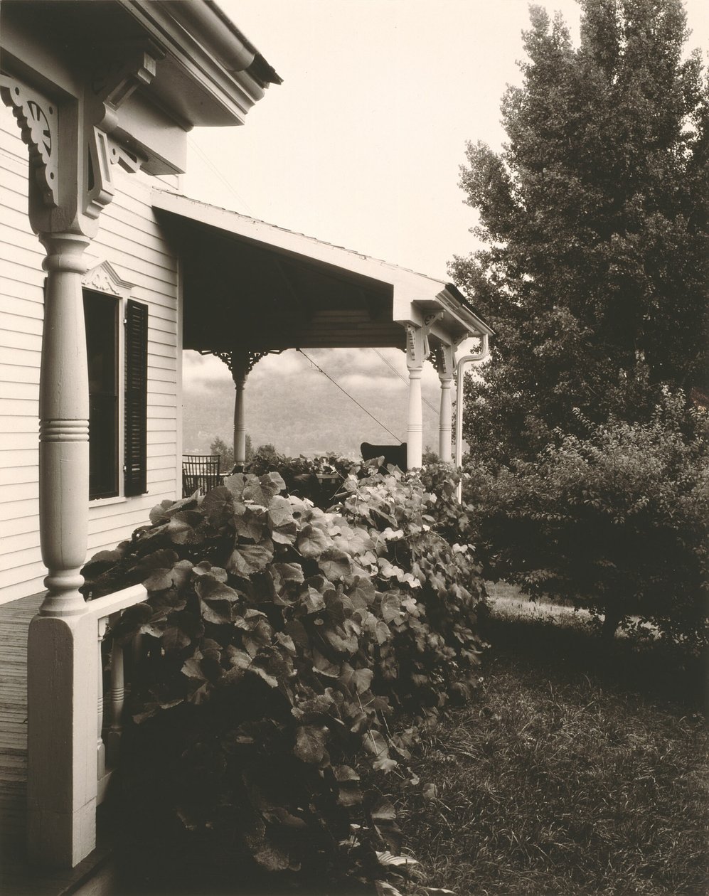 Haus und Weinblätter von Alfred Stieglitz