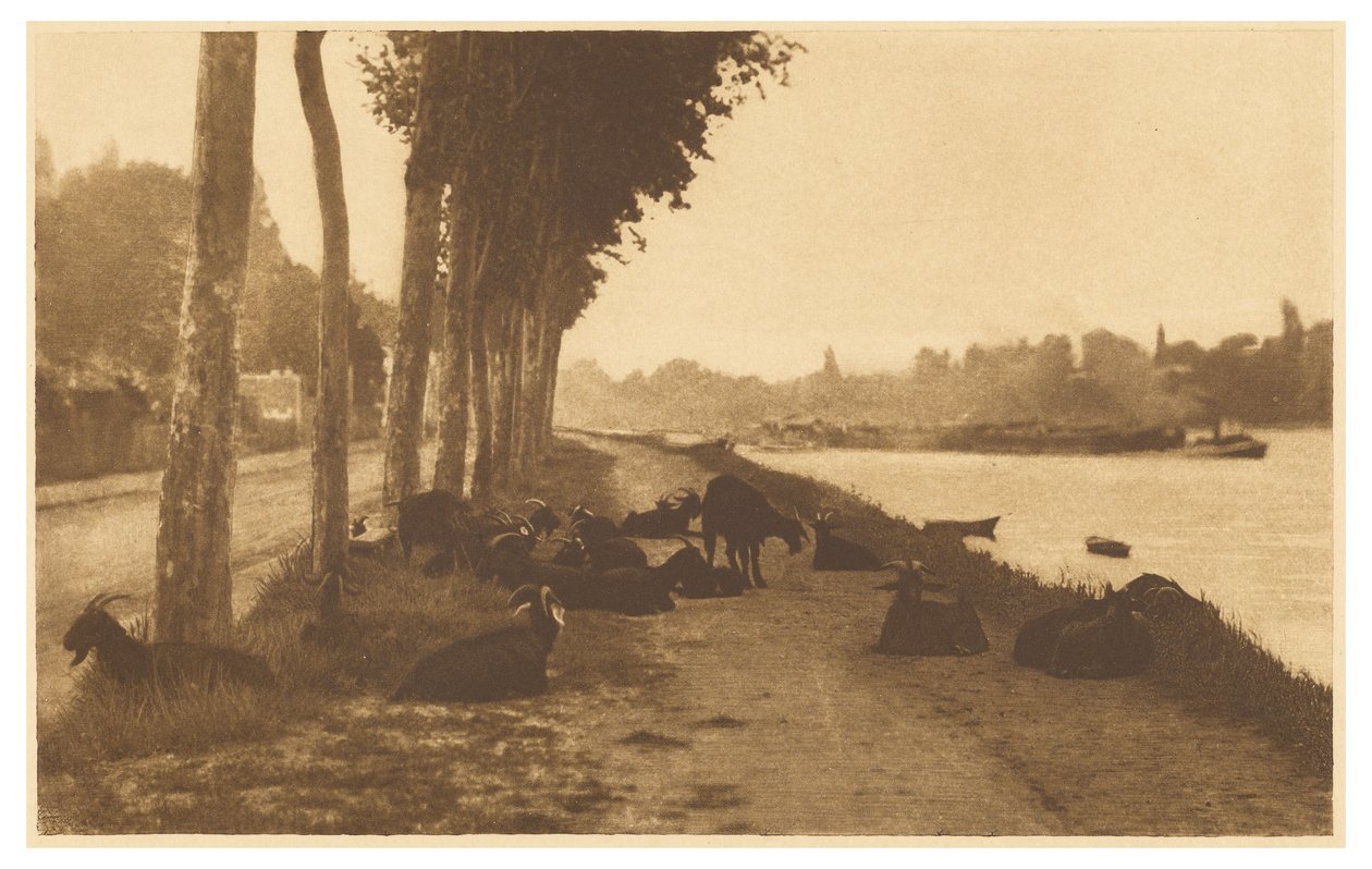 [An der Seine - In der Nähe von Paris] von Alfred Stieglitz