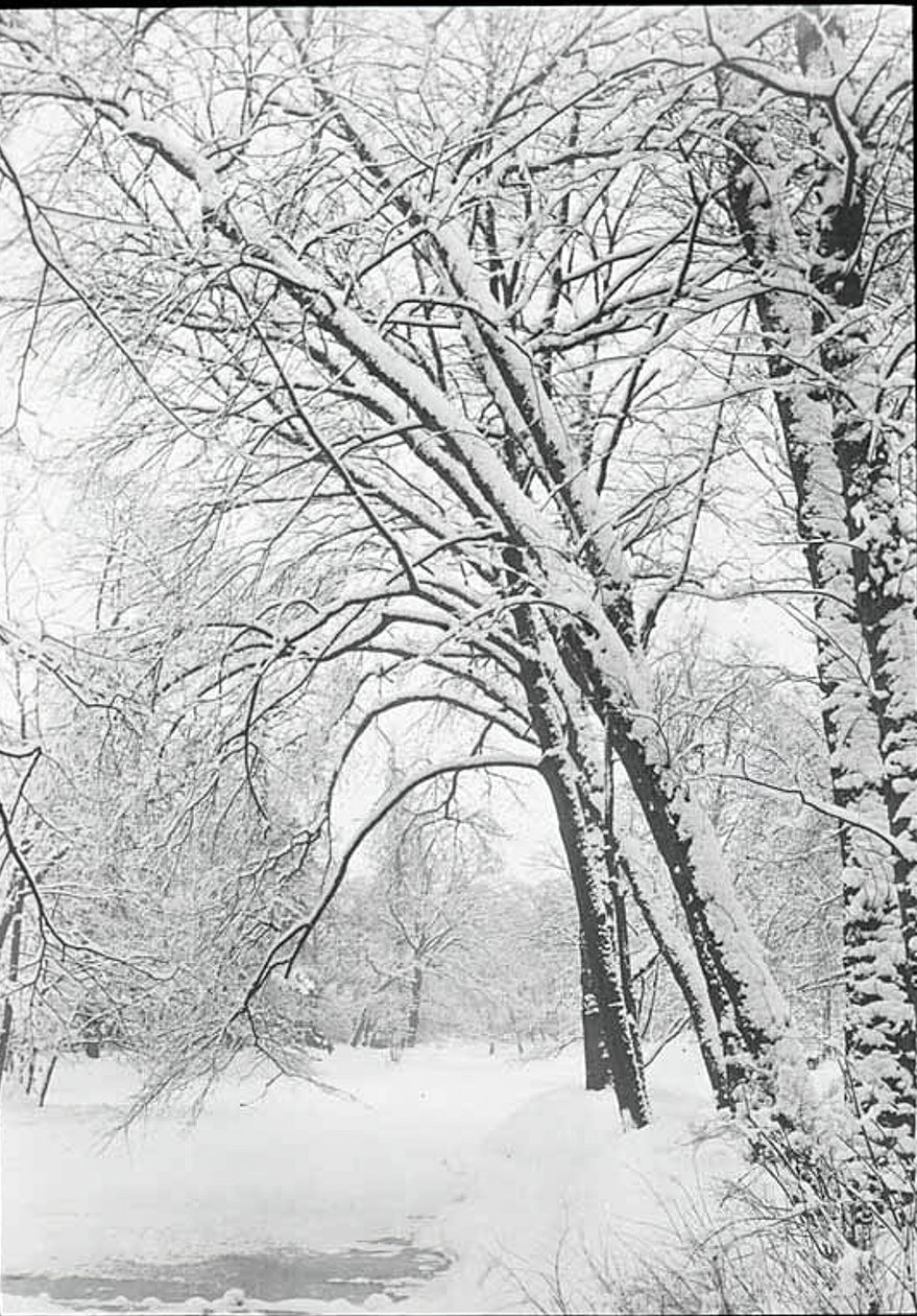 Schneelandschaft, Berlin, 188892 von Alfred Stieglitz