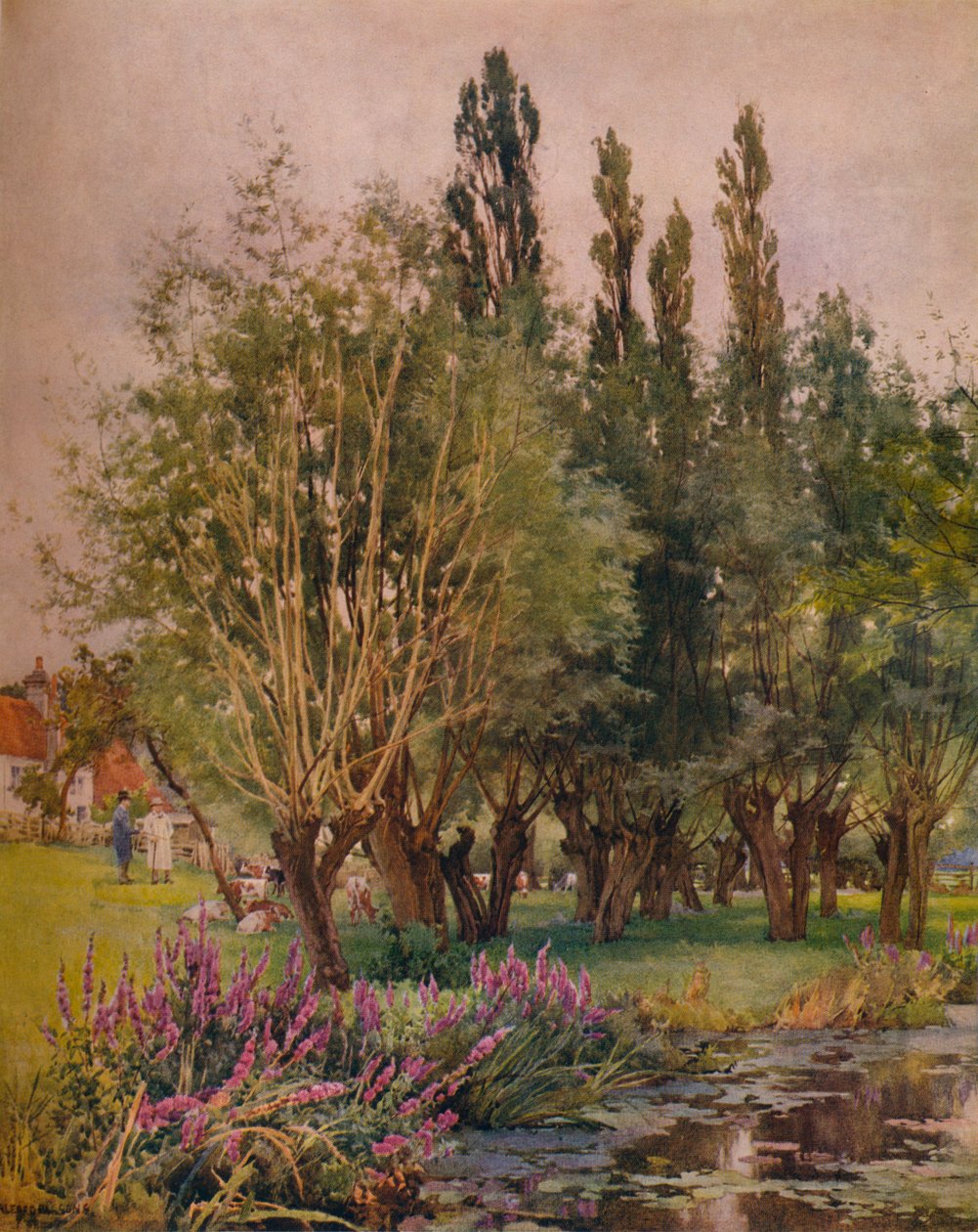 Blutweiderich, ca. 1891 von Alfred William Parsons