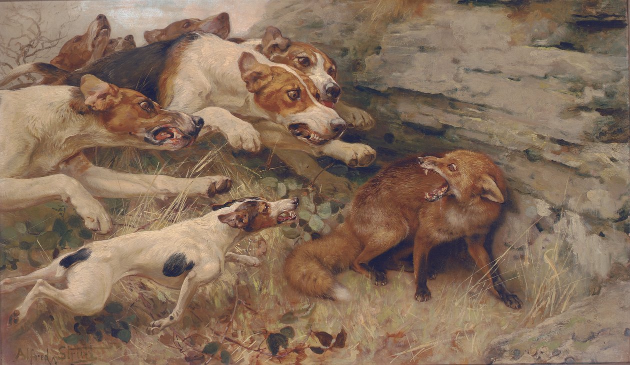 „Tu dein Schlimmstes“ von Alfred William Strutt