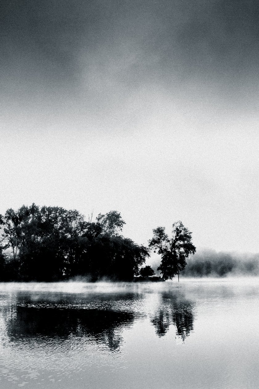 Boissy Morgen von Alice Gur Arie
