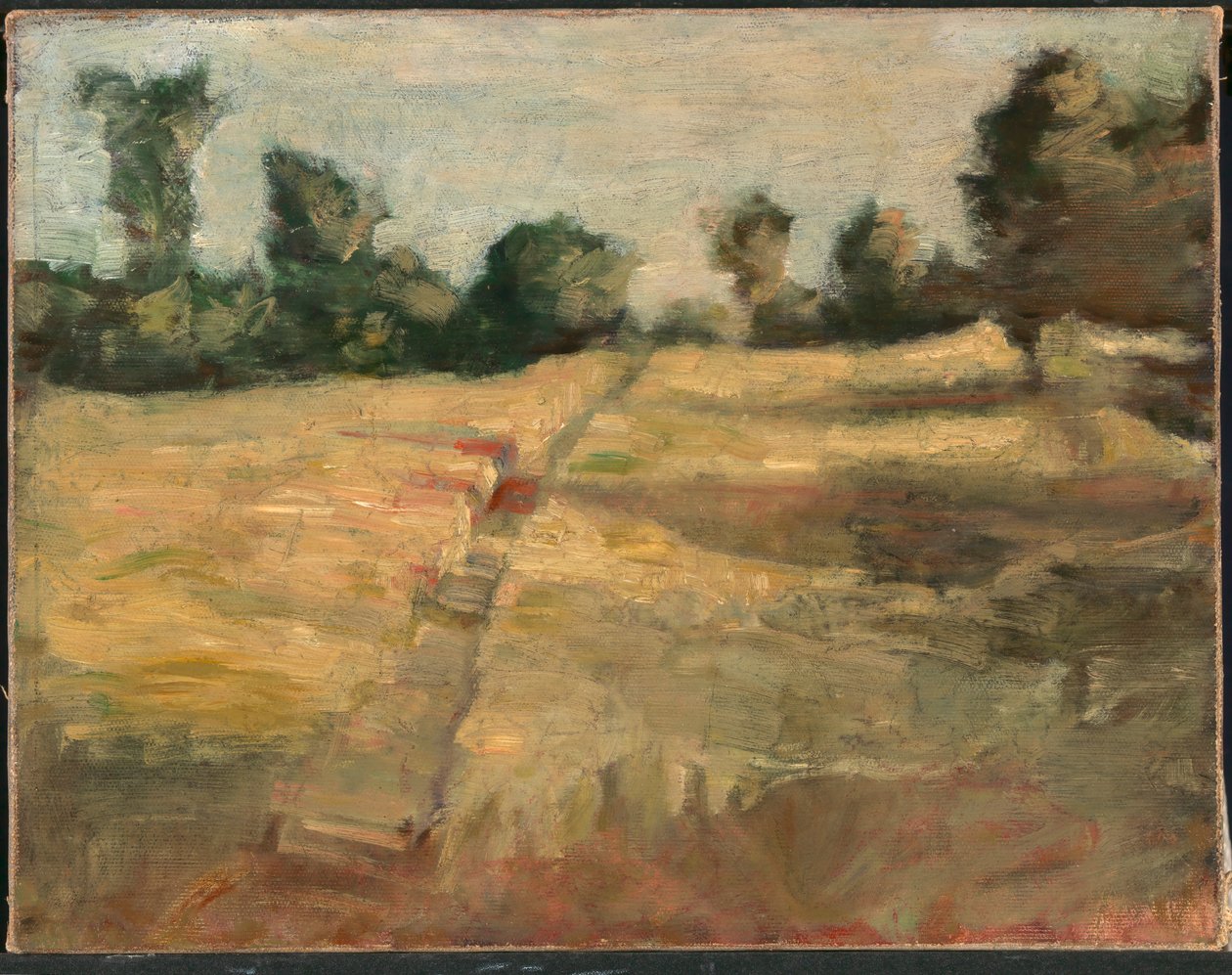 Das Feld von Alice Pike Barney