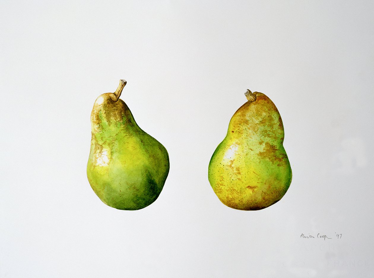 Ein Paar Birnen von Alison Cooper