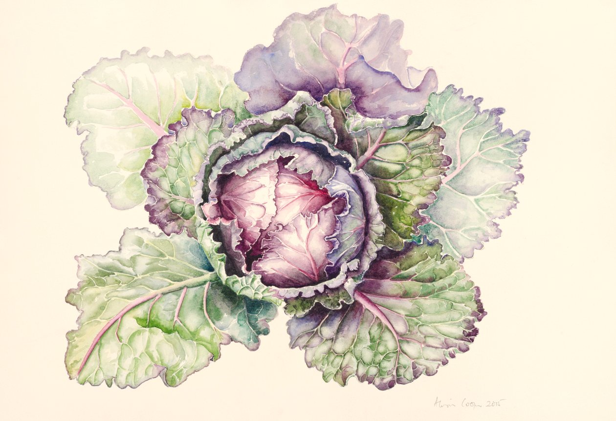 Kohl vom Markt, 2015, Aquarell von Alison Cooper
