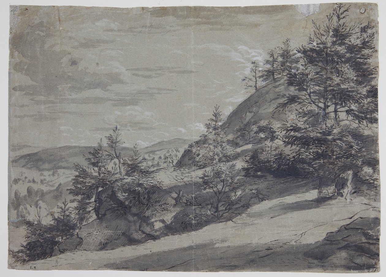 Hügellandschaft von Allaert van Everdingen