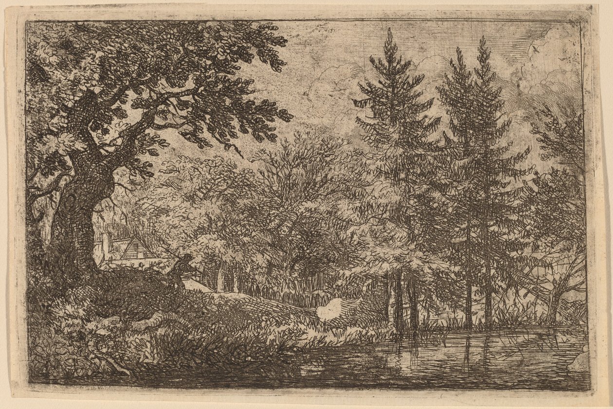 Tannen am Wasser von Allart van Everdingen