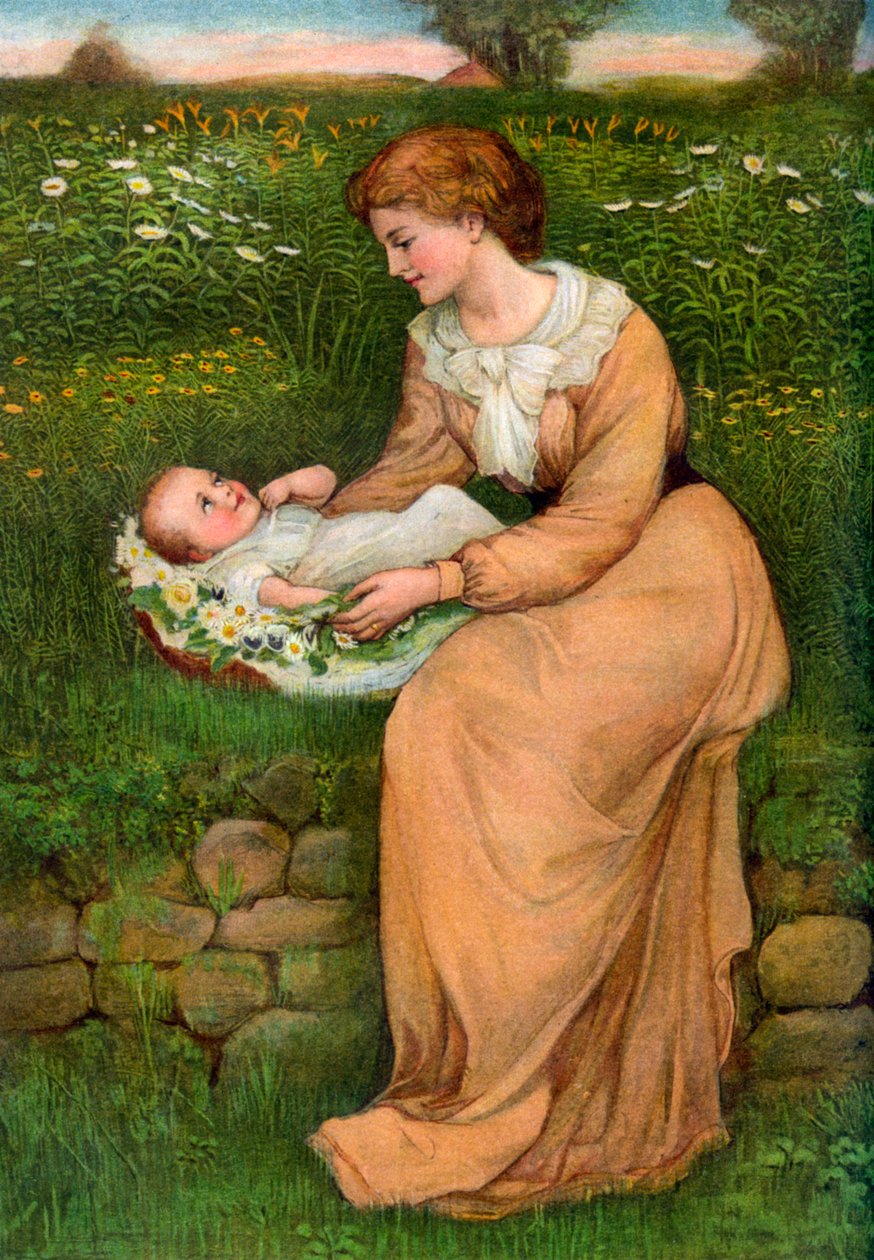 Ein Bett aus Gänseblümchen von Alphage Brewer