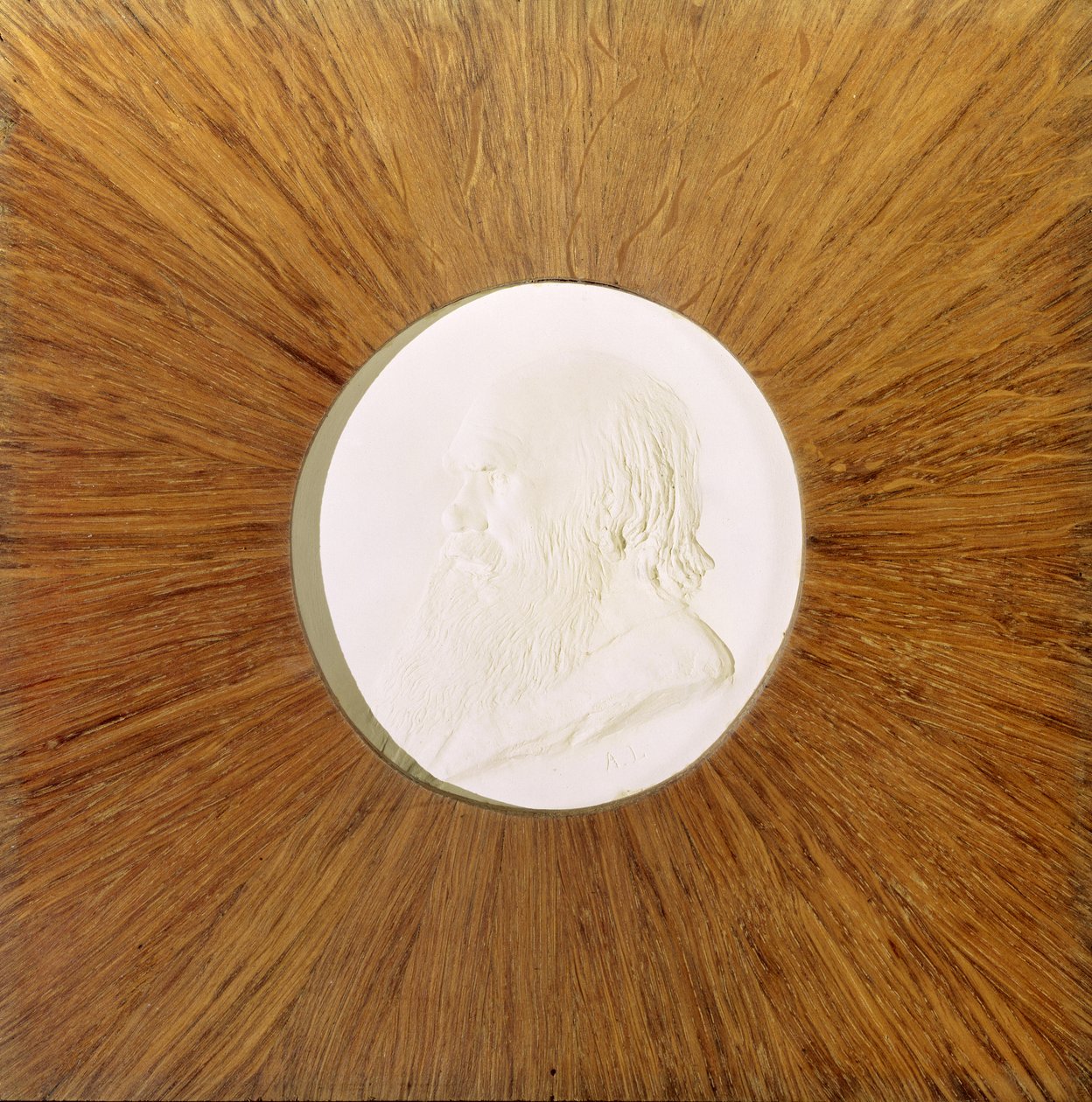 Charles Darwin (1809-82) ca. 1881 von Alphonse Legros