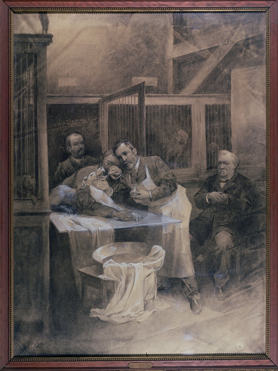 Louis Pasteur (1822-95) nimmt eine Schaumprobe von einem tollwütigen Hund von Alphonse Mucha