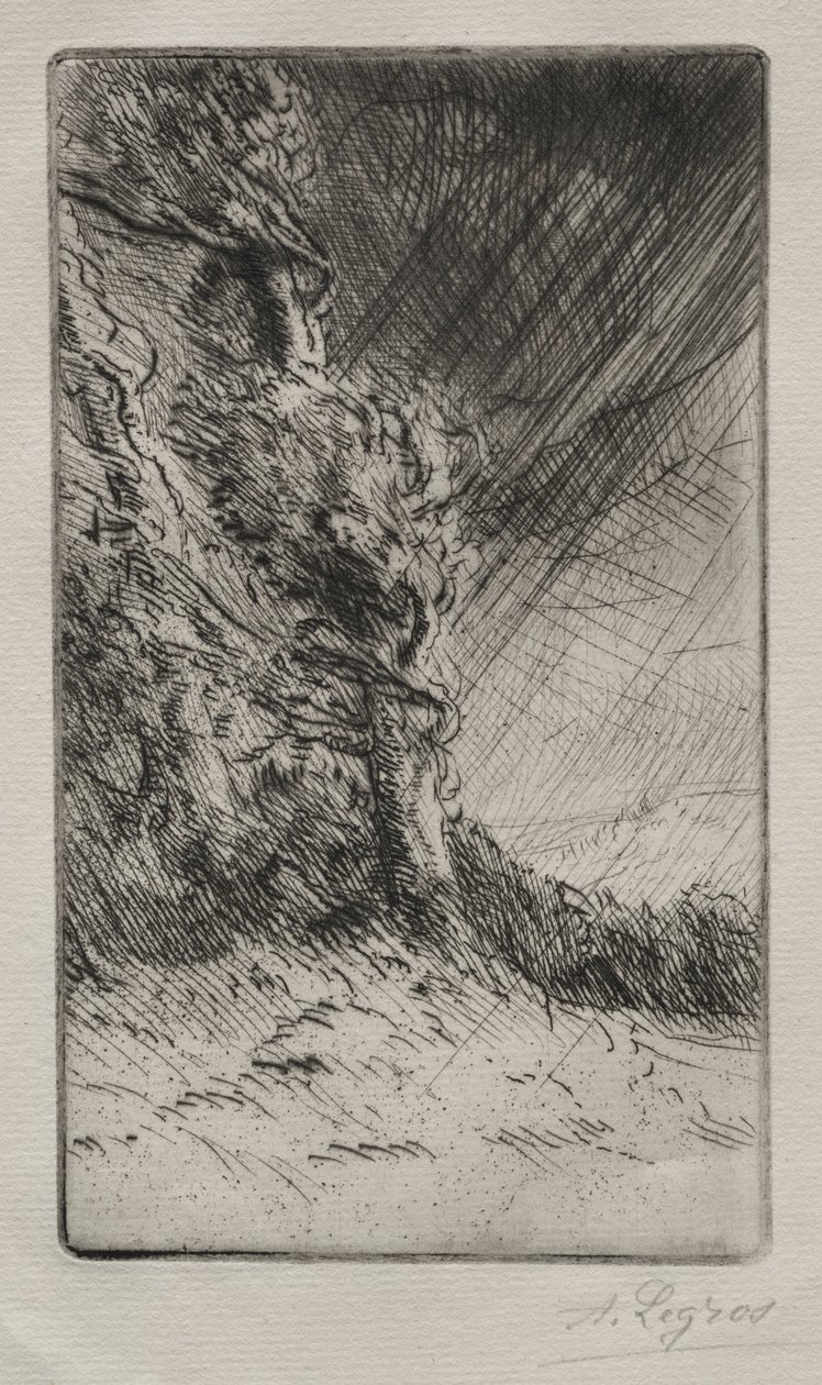 Ein Windstoß von Alphonse Legros