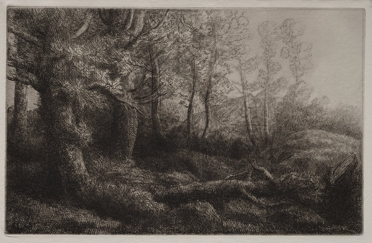 Eine Waldstudie von Alphonse Legros