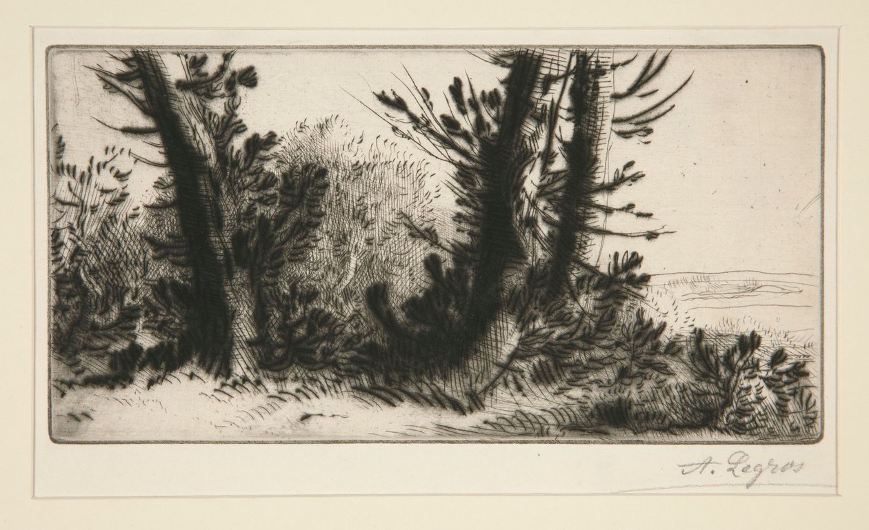 Querfeldein von Alphonse Legros