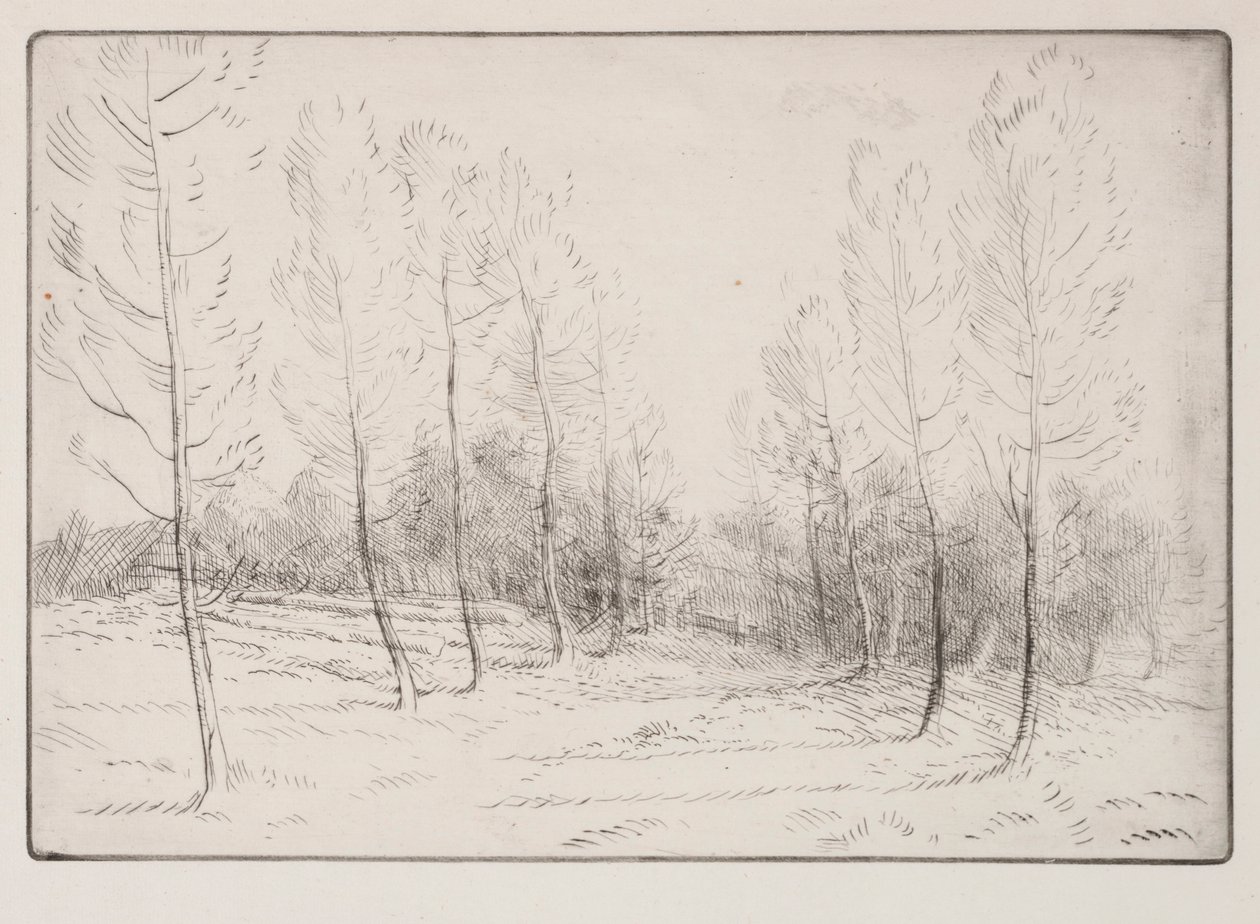 Pappelallee von Alphonse Legros