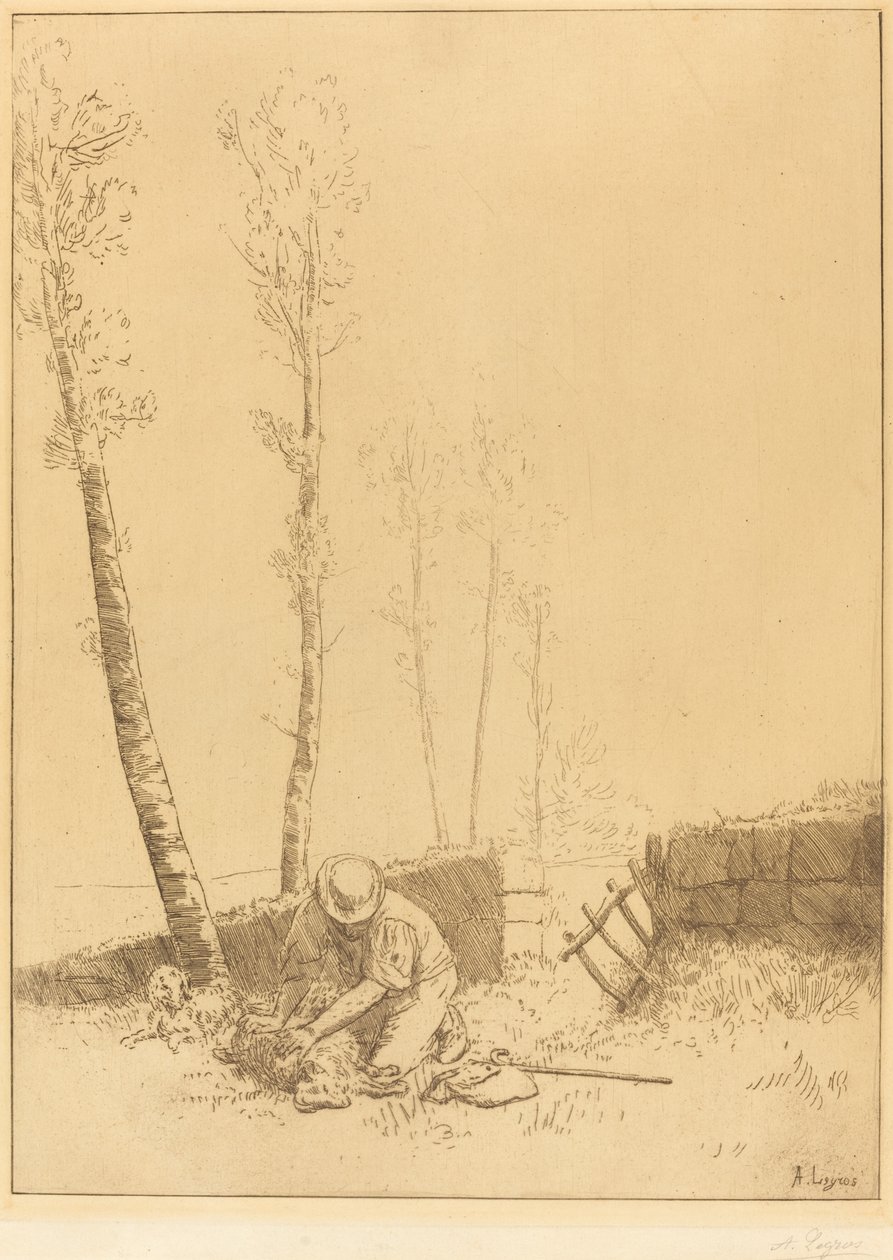 Das Schaf finden (Le mouton retrouvé) von Alphonse Legros
