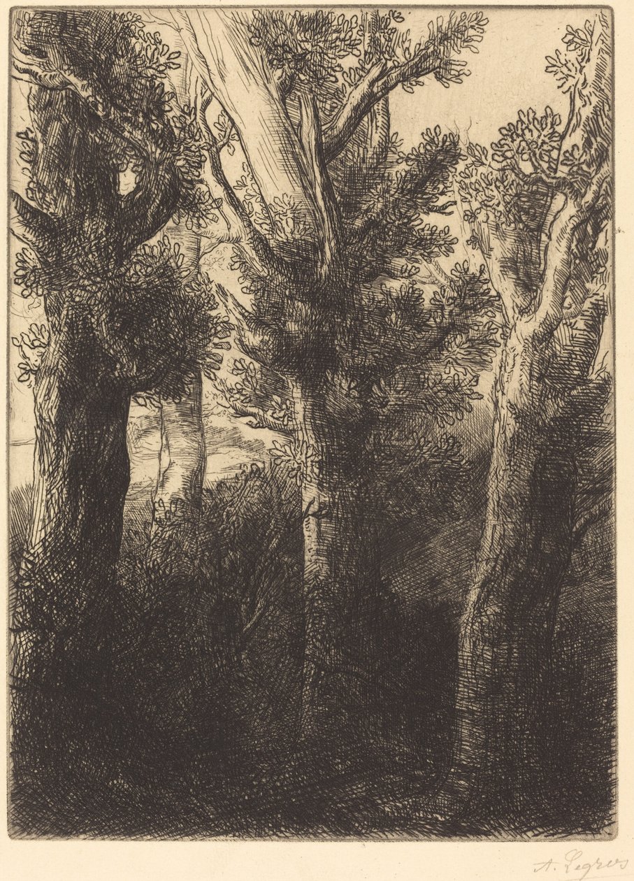 Deutscher Wald, Downley von Alphonse Legros