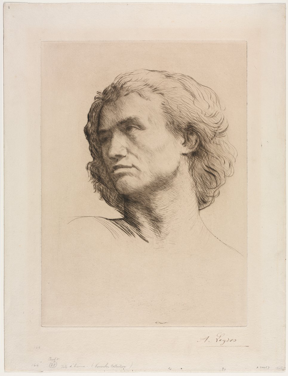 Kopf eines Mannes von Alphonse Legros