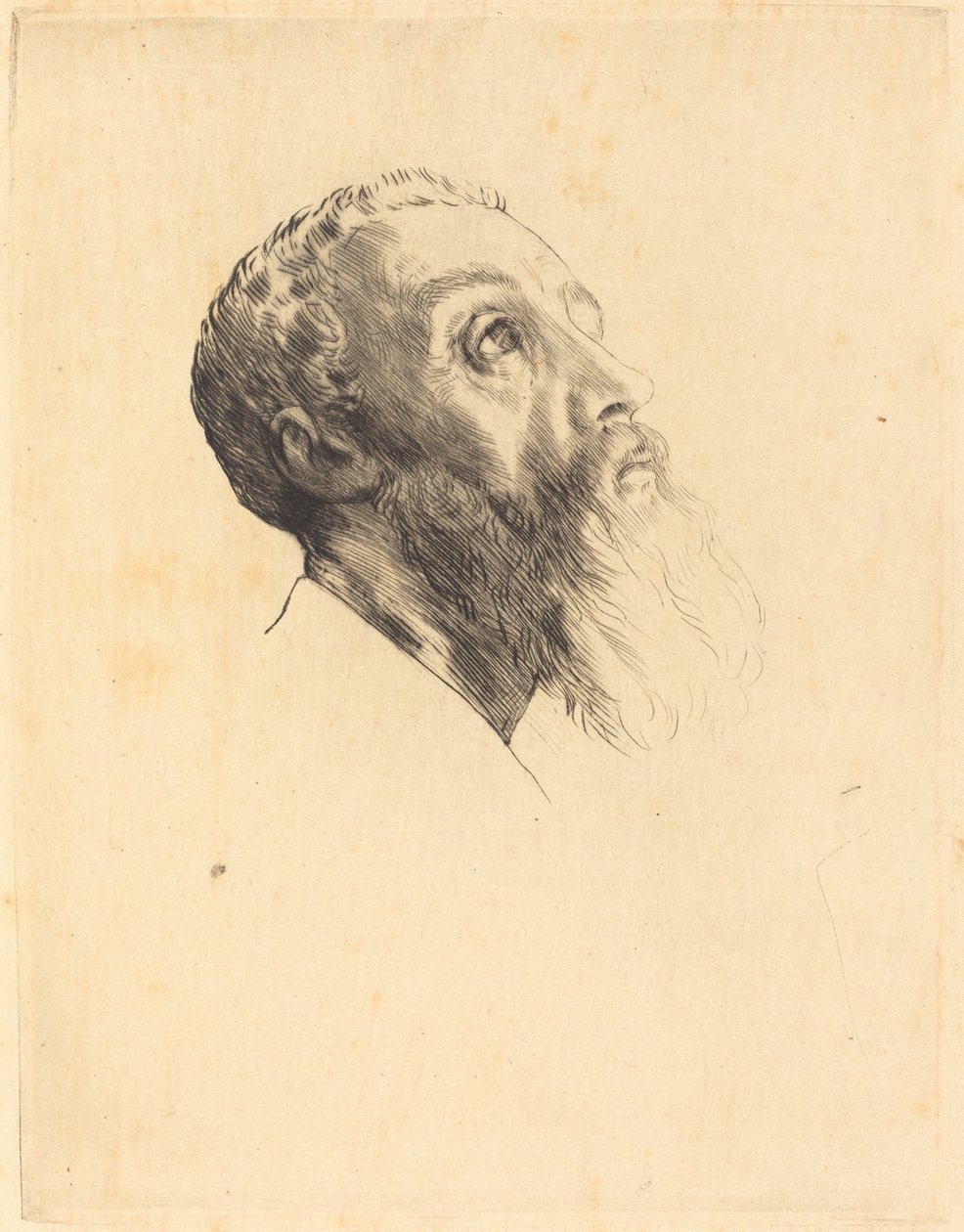 Kopf eines Modells (Tête de modèle) von Alphonse Legros