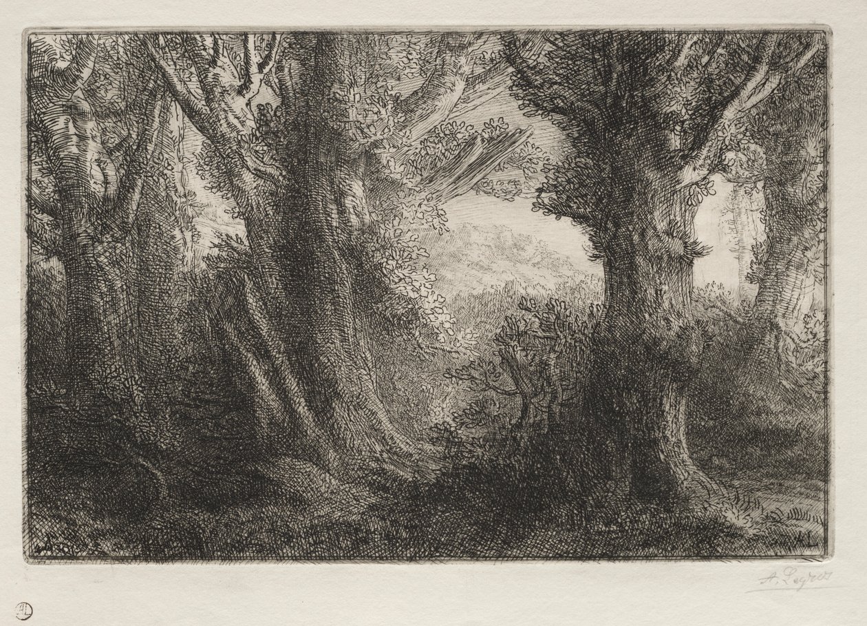 Im Wald bei Conteville von Alphonse Legros