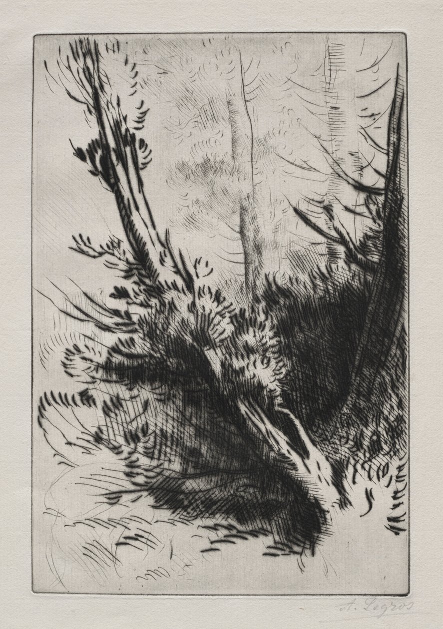 Im Wald von Alphonse Legros