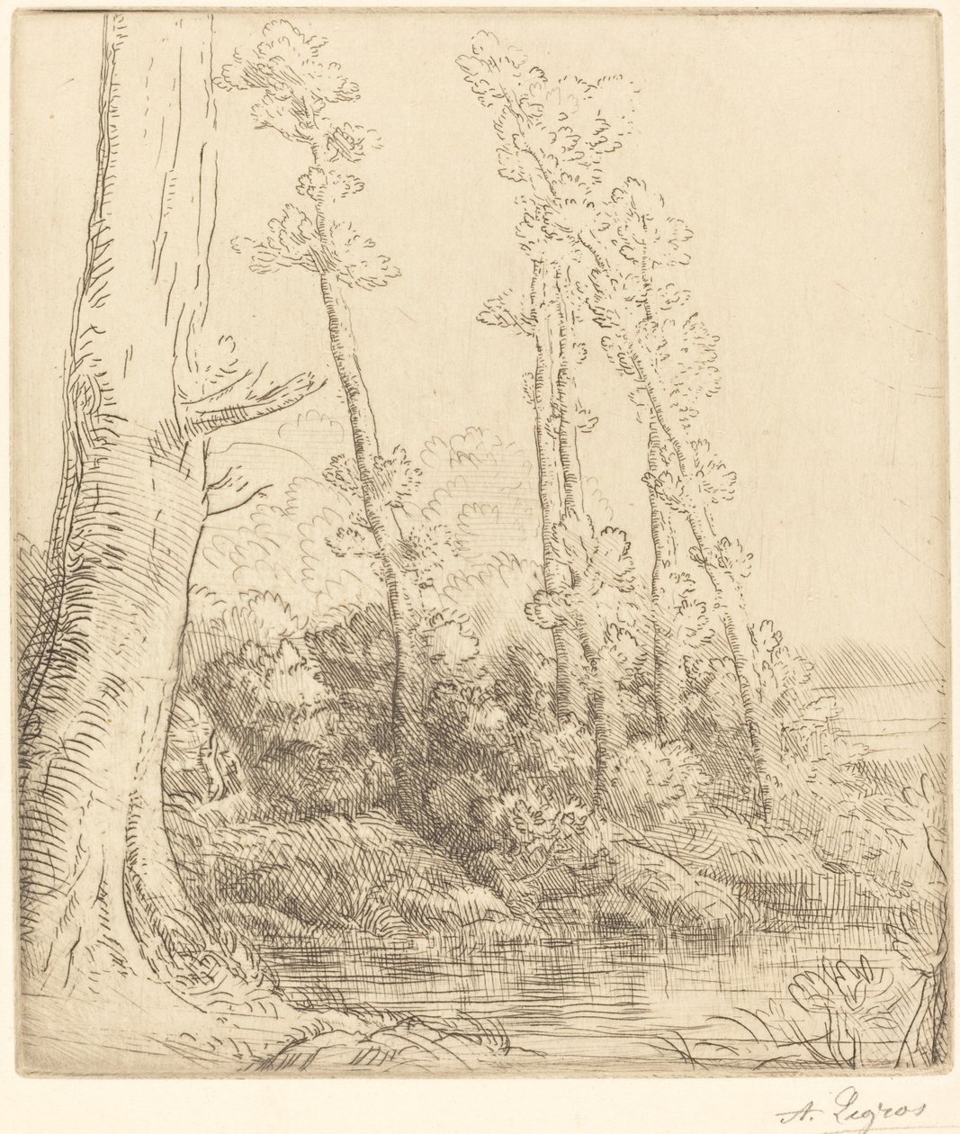 Kleiner Teich (La petite mare) von Alphonse Legros