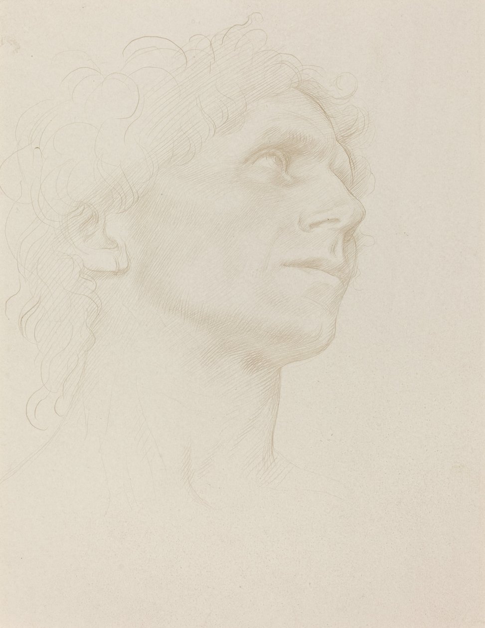 Studie eines Frauenkopfes, nach rechts gedreht von Alphonse Legros