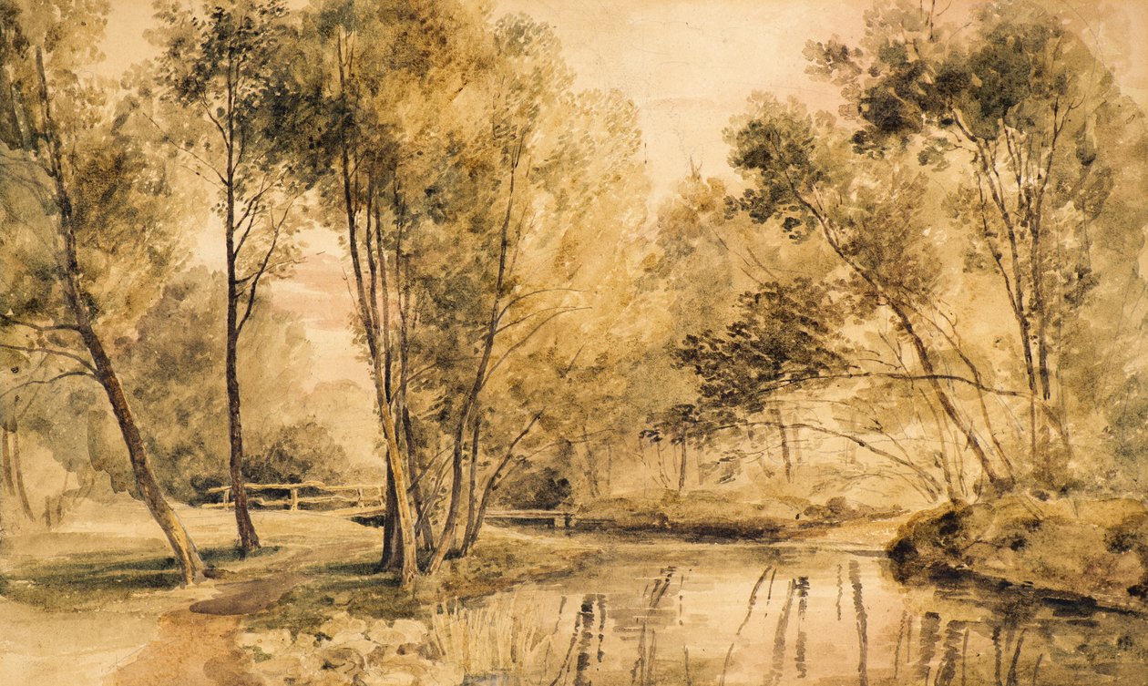 Studie von Bäumen von Amelia Long