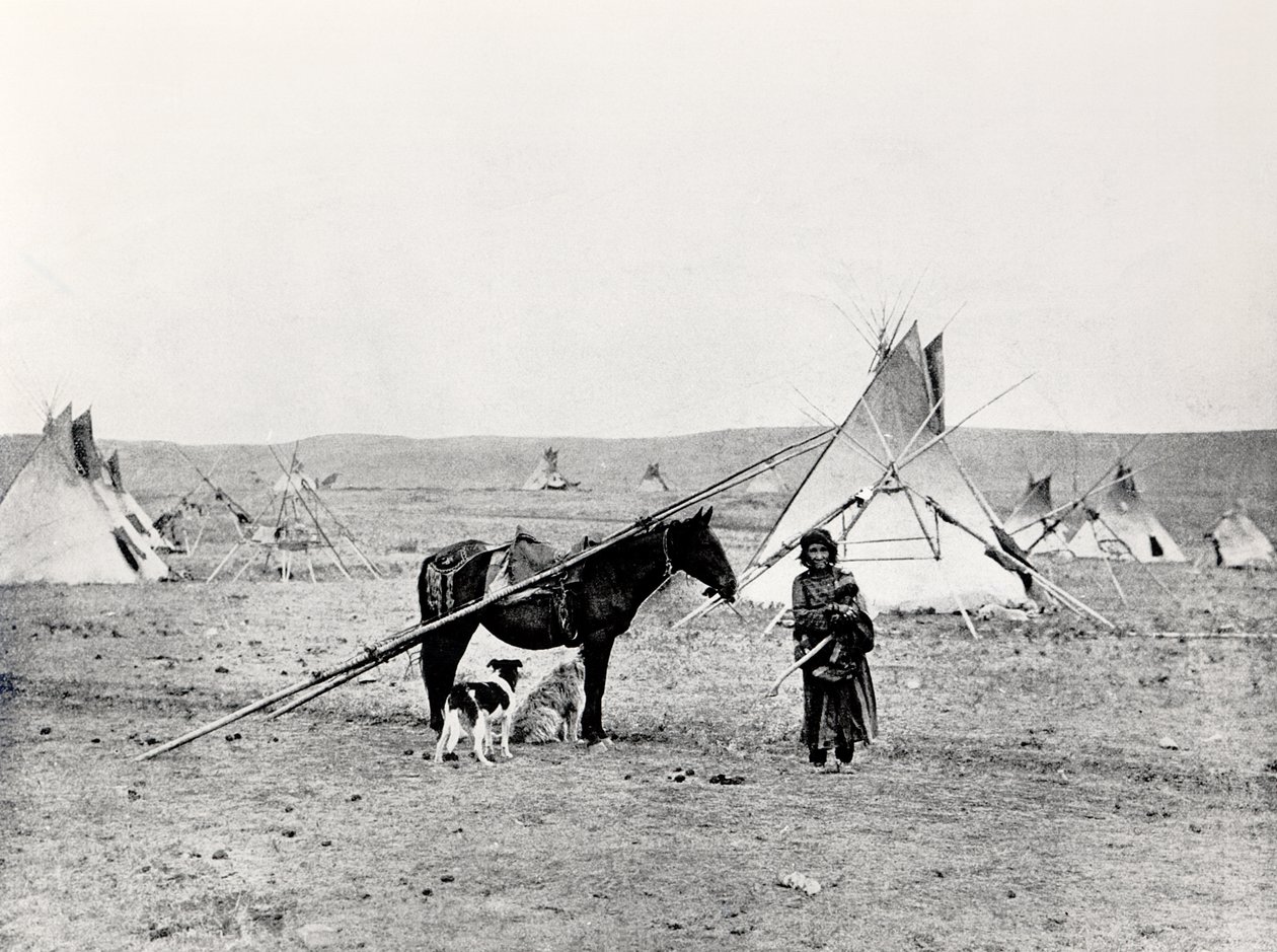Comanche-Indianer von American Photographer