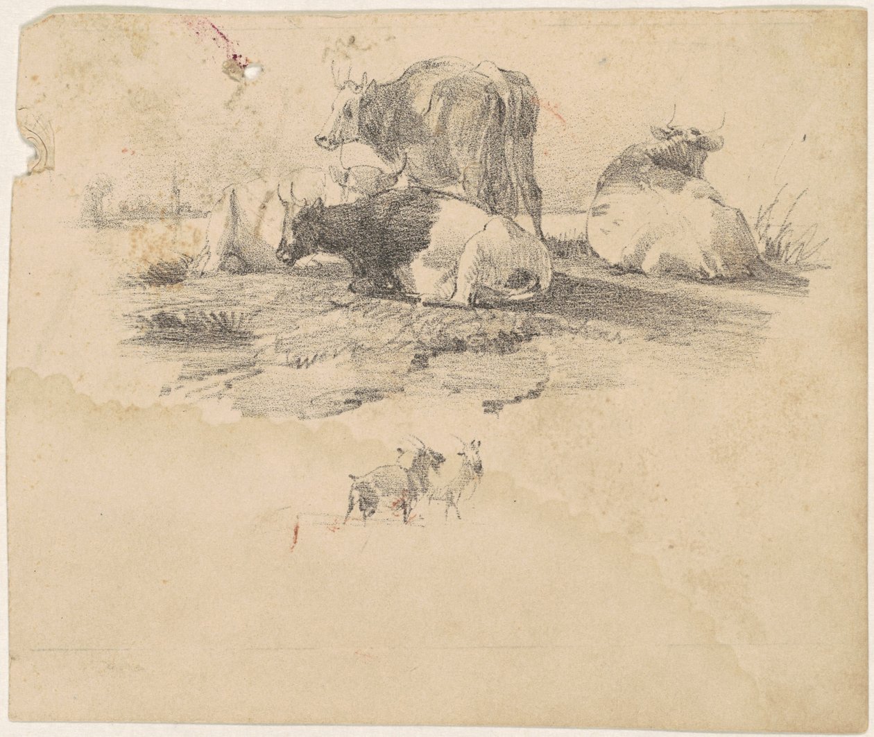 Rinderherde von American 19th Century
