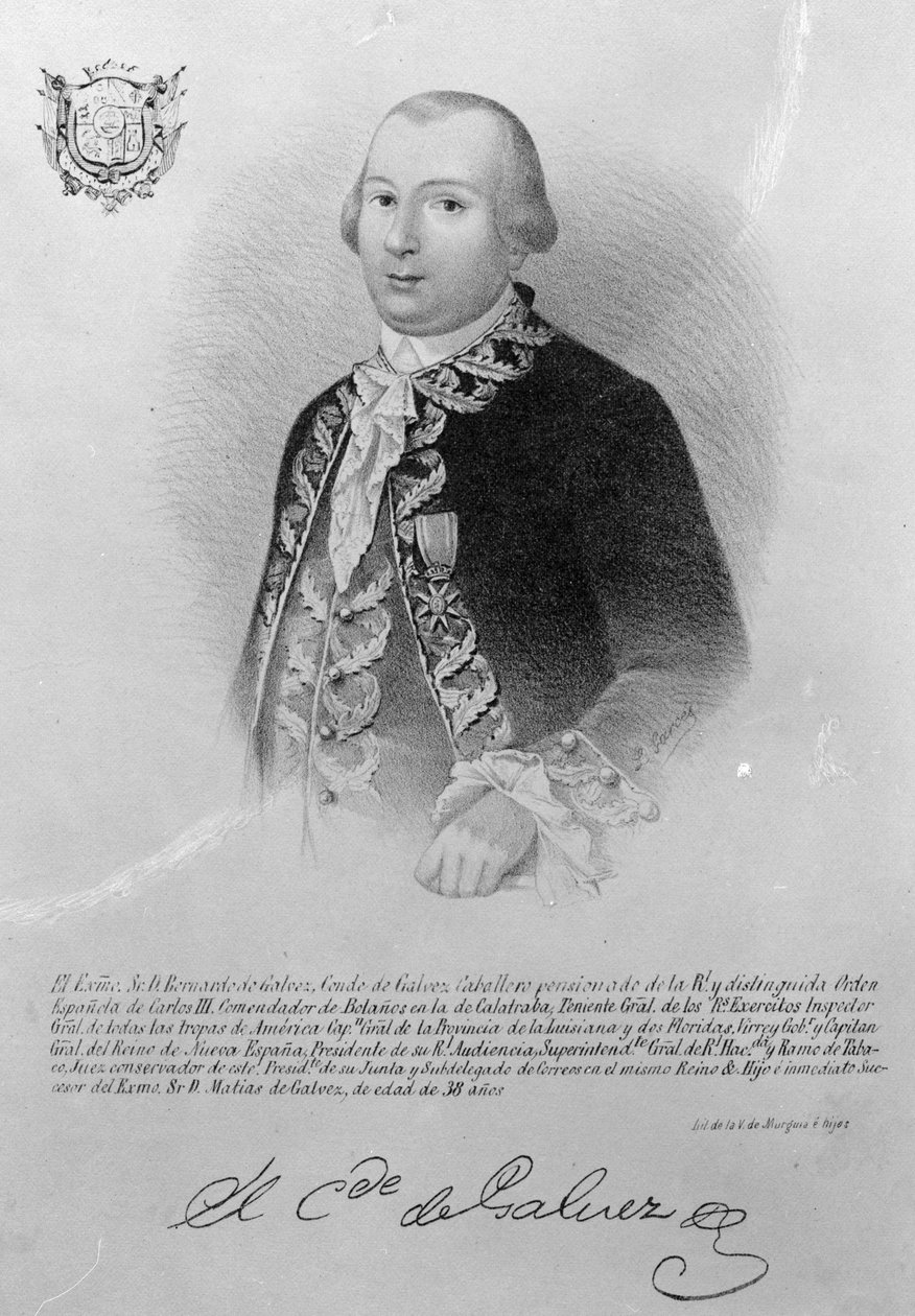 Bernardo de Galvez von American School