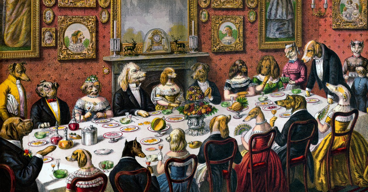 Formelles Abendessen für Hunde von American School