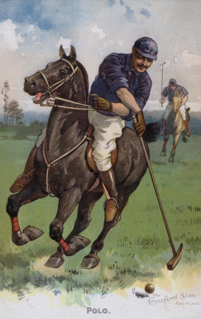 Polo von American School
