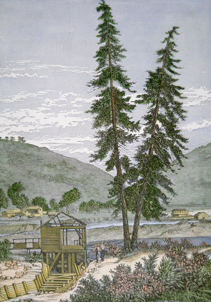 Sutters Mühle von American School