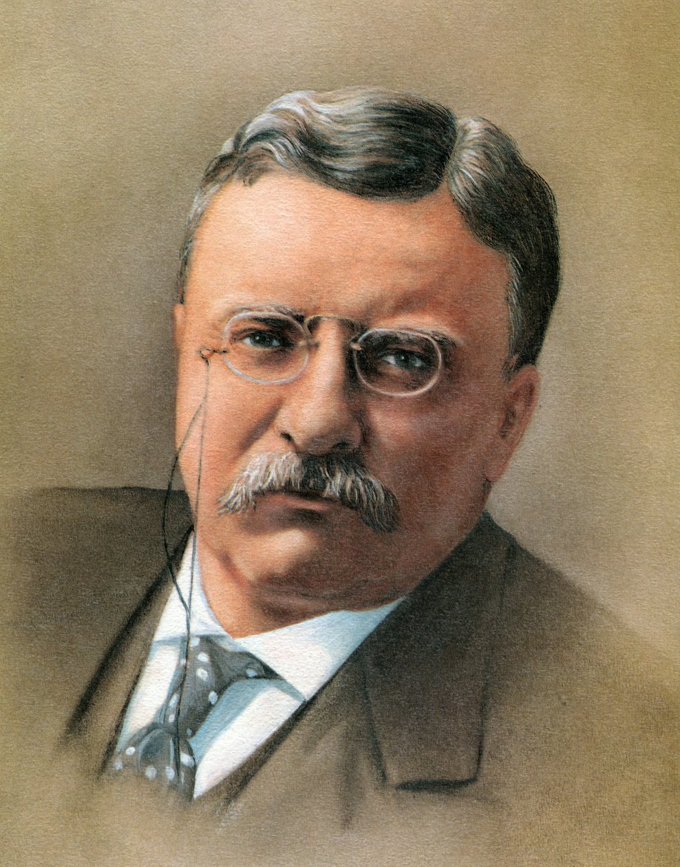 Theodore Roosevelt von American School