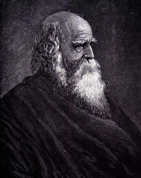 William Cullen Bryant von American School
