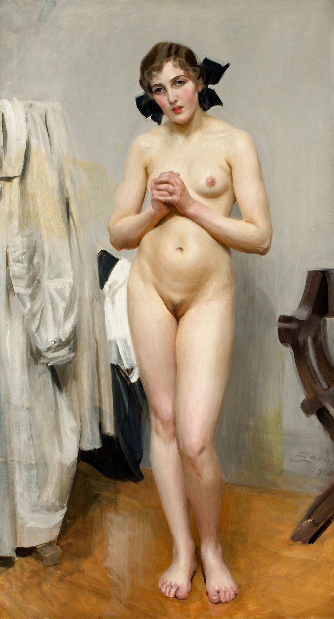 Vierzehn Jahre, glaube ich, war ich von Anders Leonard Zorn