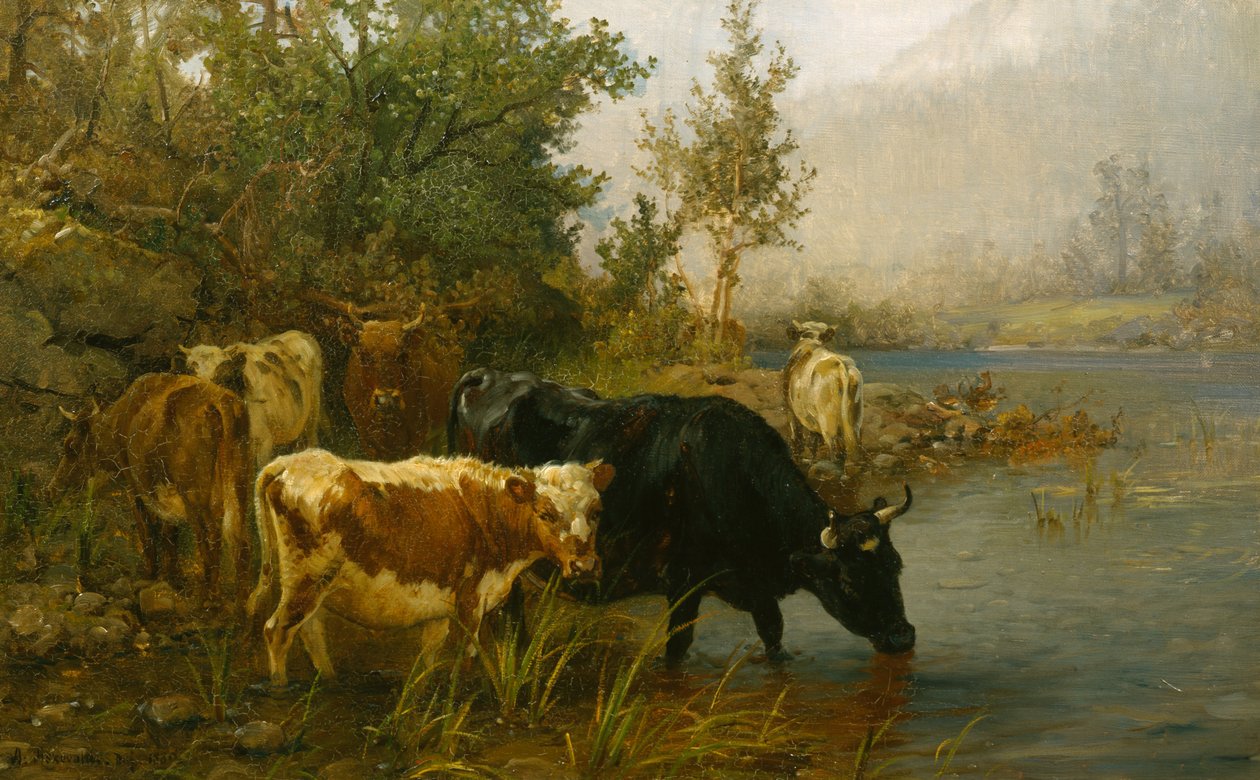 Kühe am Wasser von Anders Askevold