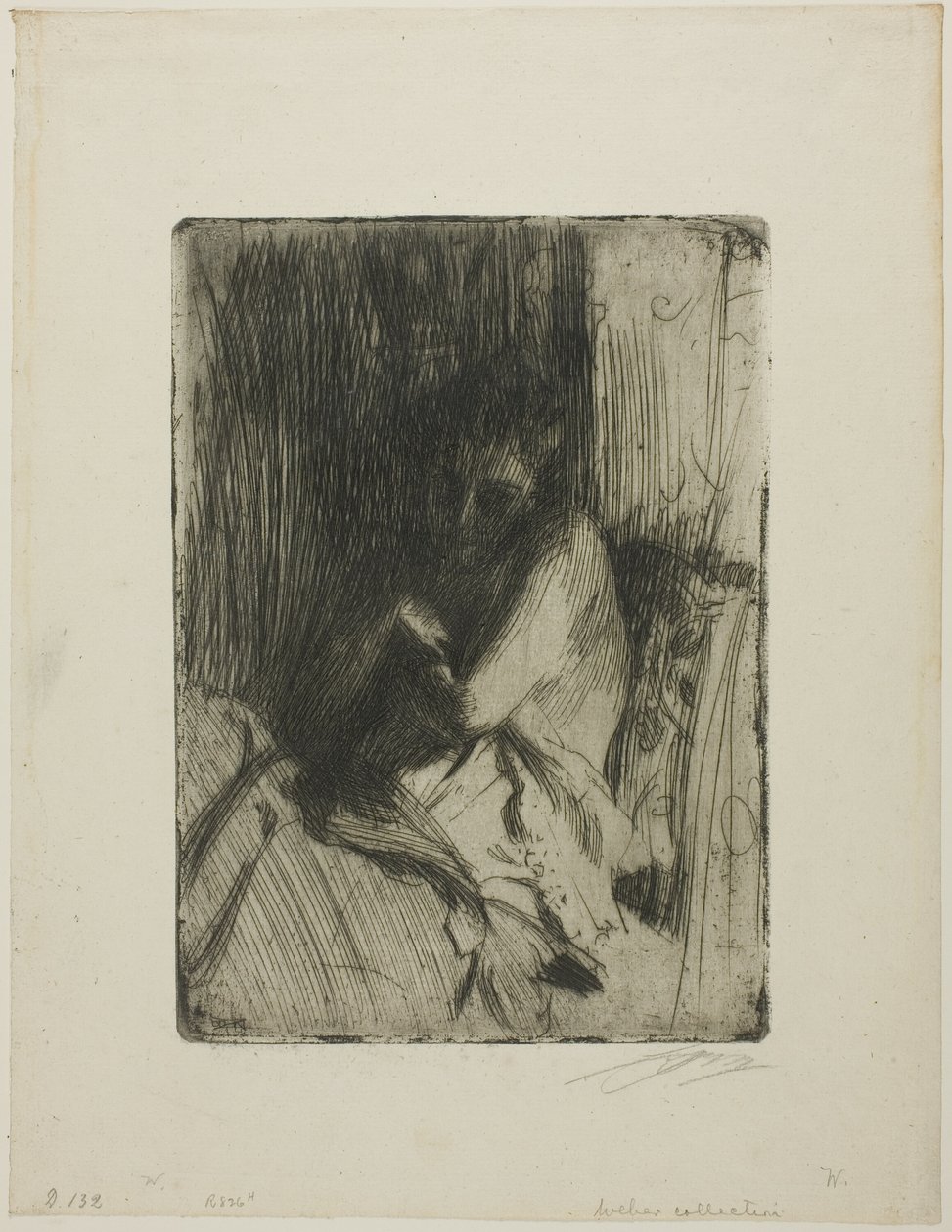 Überrascht von Anders Leonard Zorn